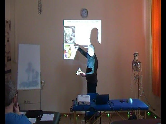 Семинар остеопатия МОЗГОВОЙ ЧЕРЕП МЧ_03 смотреть онлайн