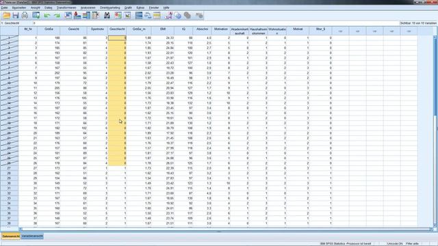 Daten filtern in SPSS - Die Funktion Fälle auswählen смотреть онлайн