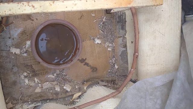 лёд в траншее 22.04.2021 смотреть онлайн