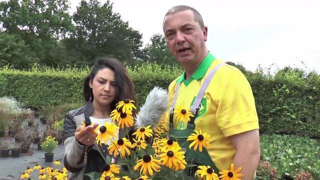 Gärtner Sönke - Folge 10: Rudbeckia Goldsturm смотреть онлайн