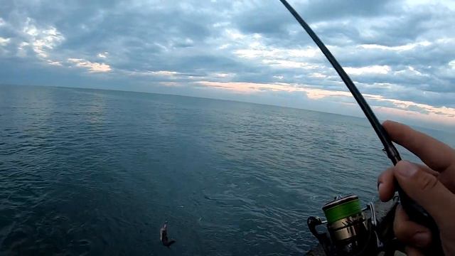 Поймал рыбу - накорми кошку🎣 За карасем и скорпеной в июле смотреть онлайн