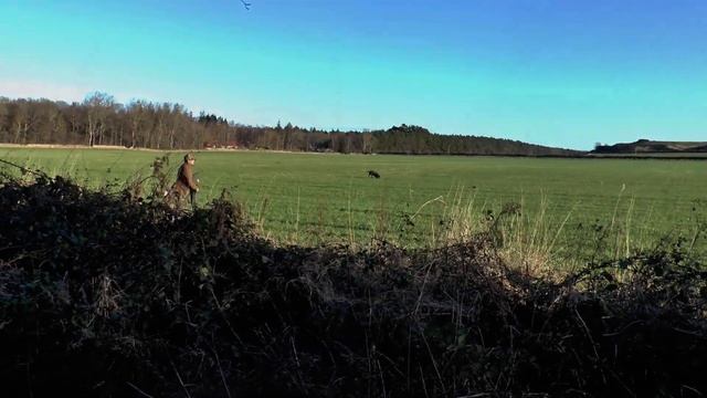 Smeaton 2022 January