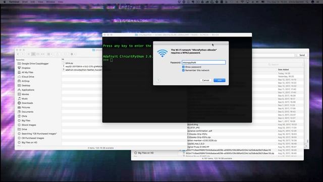Installing micropython or circuitpython on your ESP8266 and ESP32 смотреть онлайн