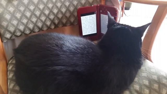 Nila Nintendo Show - 100 Classic Book Collection (or 100 Classic Books in North America) смотреть онлайн