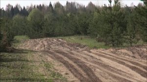 Русский гончий  Бушуй вл. Медведчиков.