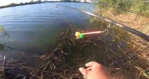 Кормачки Рулят Рыбалка с Ночёвкой на РЕКЕ