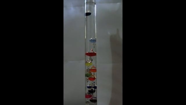 TIME LAPSE - GALILEO THERMOMETER смотреть онлайн