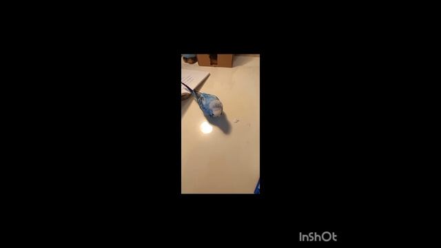 кеша возврощения домой 1сезон