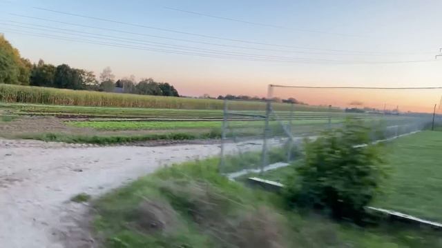 НА МОТОРОЛЛЕРЕ.КАКИЕ ПРАВИЛА В ГЕРМАНИИ. смотреть онлайн