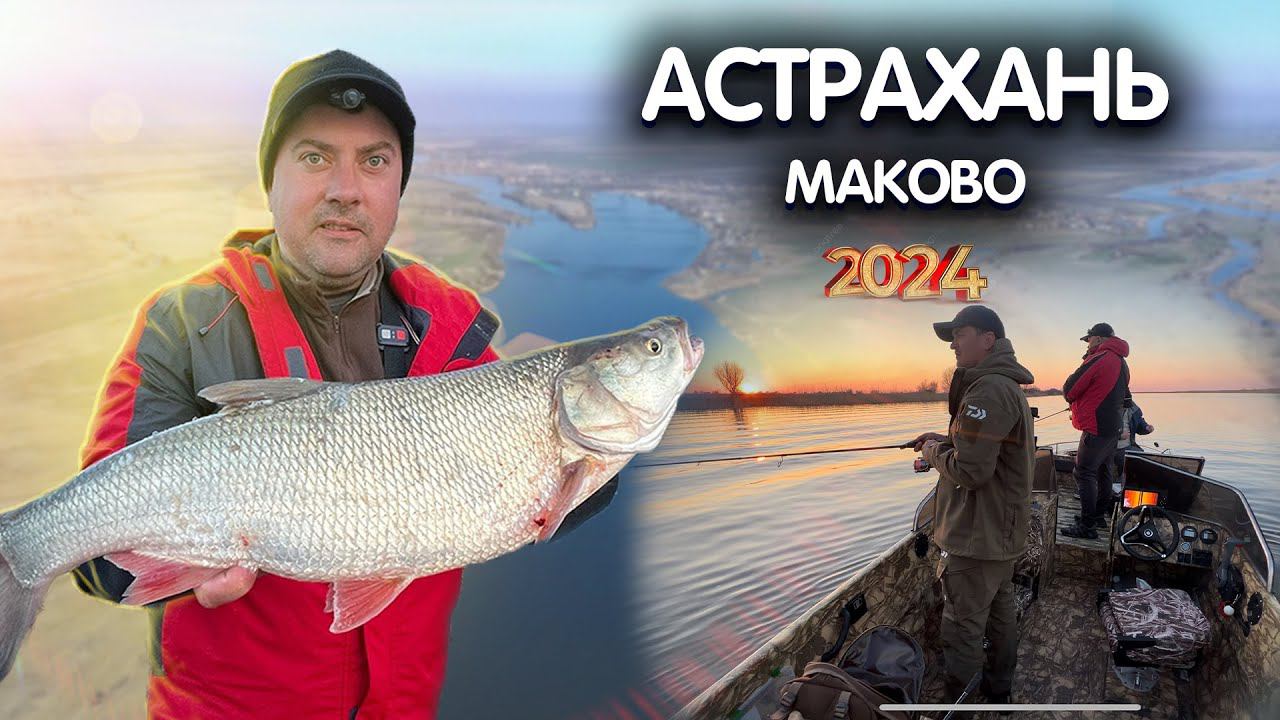 ЗА ХИЩНИКОМ в АСТРАХАНЬ!! Рыбалка в Астрахани 2024. Судак, жерех на спиннинг в Астраханской области смотреть онлайн