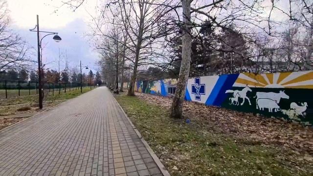 КРАСНОДАР обзор: Ботанический сад, АГРАРНЫЙ УНИВЕРСИТЕТ, столовая, общежития, корпуса. смотреть онлайн