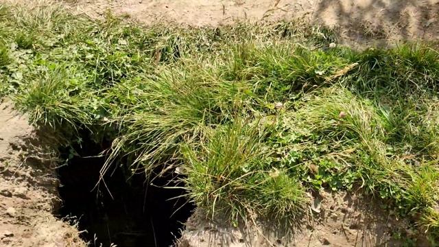 Пеший маршрут - На водопад Терскол смотреть онлайн