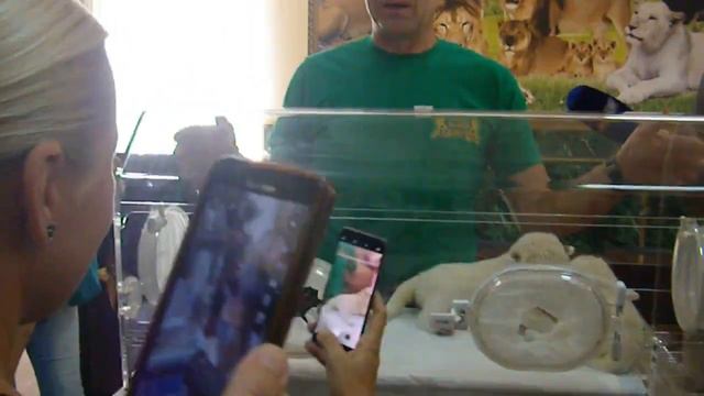 Тайган: 8 июня 2018 презентация малышей! смотреть онлайн