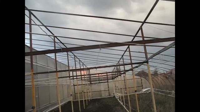 Теплица смотреть онлайн
