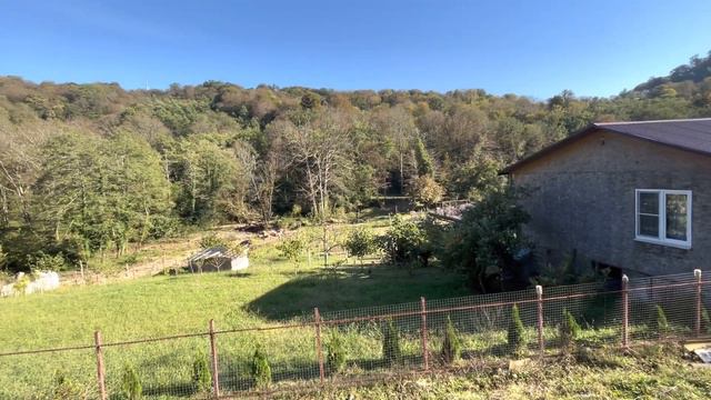 Участок 30 соток посреди национального парка ! АДЛЕР! смотреть онлайн