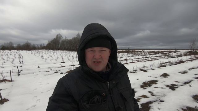 Интересные Факты и Загадки