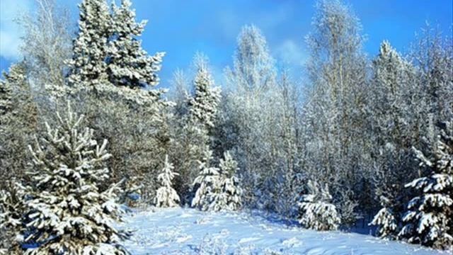 МАЙСКАЯ РОЗА смотреть онлайн