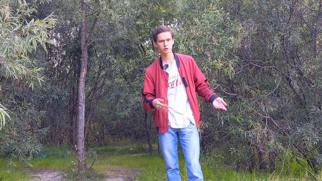 Никто НЕ ПОНЯЛ Stray смотреть онлайн