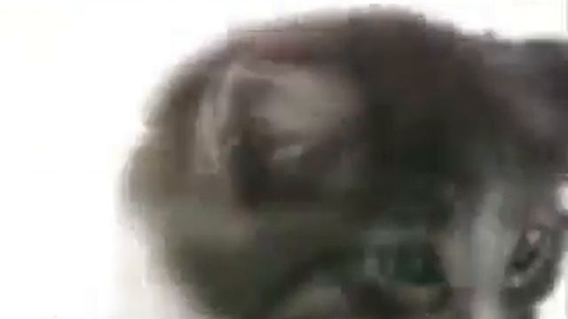 Perfect Fit. Знает характер. Заботиться о здоровье. смотреть онлайн