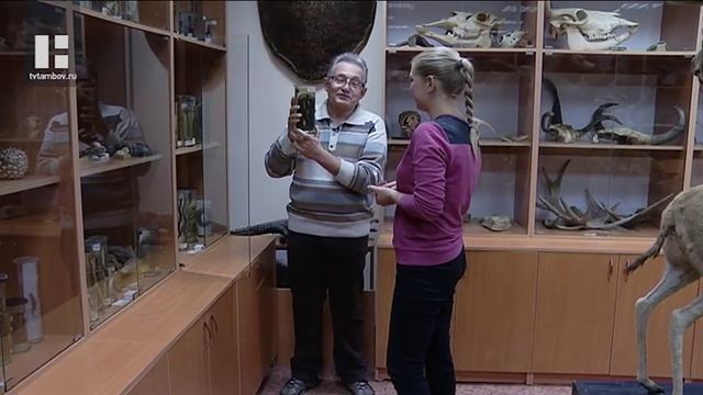 Метр в длину и зубастая пасть: в Тамбовском районе грибники опасаются необычных змей смотреть онлайн