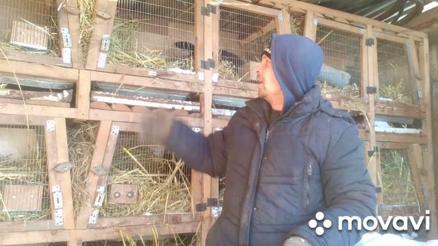 КАК СПАСТИ кроликов в сильные морозы. смотреть онлайн
