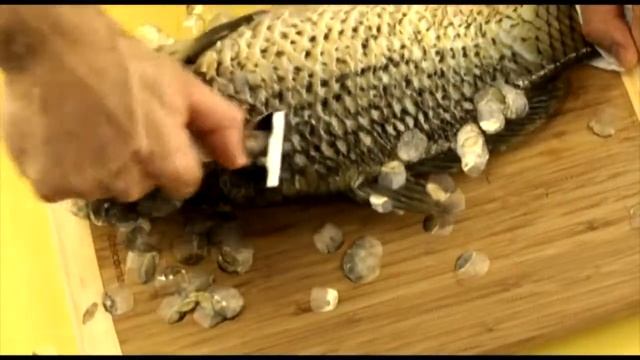 Нож для чистки рыбы чешуи Tescoma 420120 смотреть онлайн