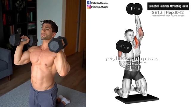 SHOULDER WORKOUT WITH DUMBBELLS AT HOME AND GYM смотреть онлайн