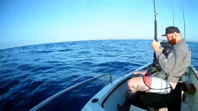 Fishing Protea Reef for Tuna, KZN, South Africa смотреть онлайн