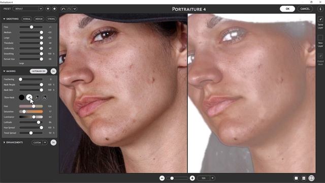 Imagenomic Portraiture 4 for Adobe Photoshop смотреть онлайн