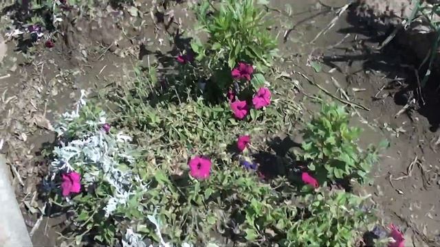 град в середине лета хана урожаю смотреть онлайн