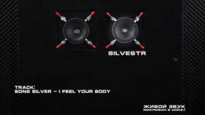 Арнольд и Сильвестр - обзор самых громких среднечастотных динамиков