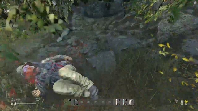 DAYZ: In a Nutshell/В двух словах. смотреть онлайн