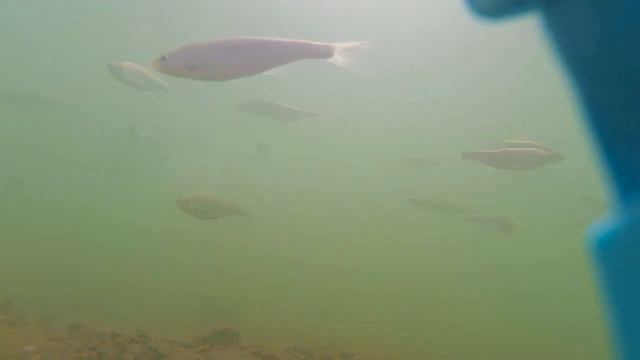 Рыбалка в Оренбургской области смотреть онлайн