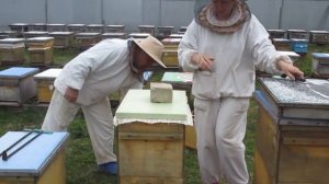 Содержание пчёл в 8-рамочных ульях. Расширение.