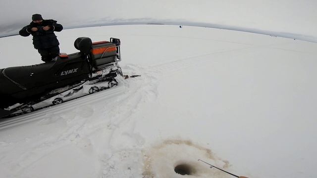 Рыбалка. Рыбинское водохранилище. Рыбалка окунь. Клево тут 35 смотреть онлайн