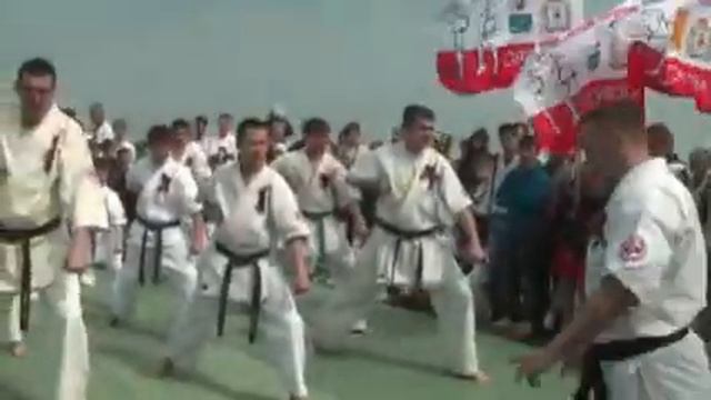 забег и показатегьное выступление 8мая.mp4 смотреть онлайн