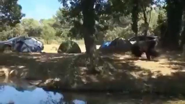 Купил костюм медведя и развлекаюсь как могу смотреть онлайн