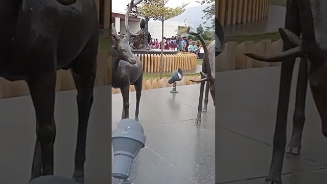 Rajgir Wildlife Safari 2023