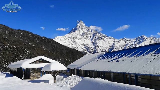 MARDI HIMAL TREK - WINTER TREKKING IN NEPAL 2022 смотреть онлайн