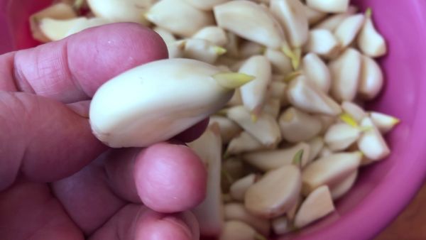 Как сохранить чеснок до следующего урожая.