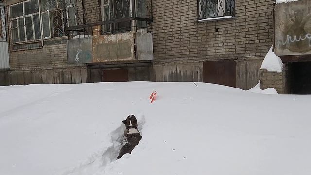 19 февраля 2021 г. смотреть онлайн