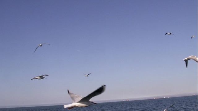 Вспоминая паром на Крым смотреть онлайн