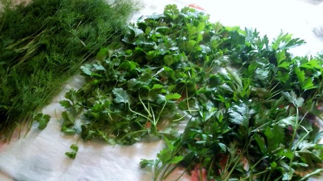 Сборник рецептов