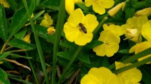 Счастье меня найдет 1 - 4 серии (2021) Мелодрама Обзор