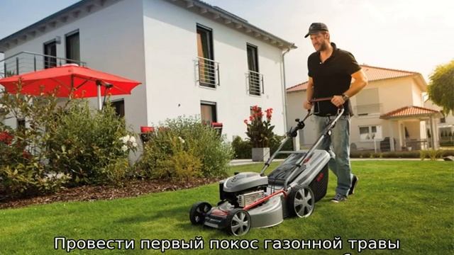 Когда косить газон первый раз после посадки смотреть онлайн