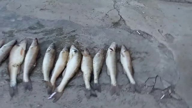 Горный Балыклей смотреть онлайн