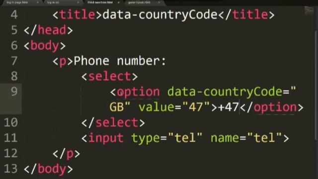 Country code input field html || Lesson 33 смотреть онлайн