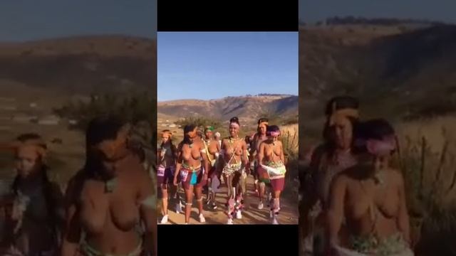ZULU MAIDENS ( SOUTH AFRICA ) смотреть онлайн