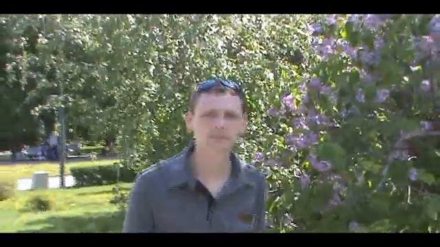 Виктор Ильичёв - Наши души - свободные птицы смотреть онлайн