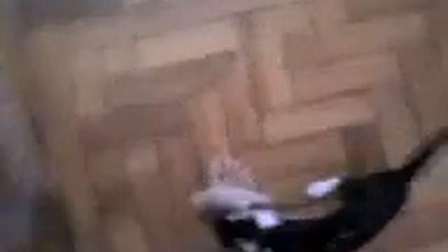 Bartolomeu смотреть онлайн